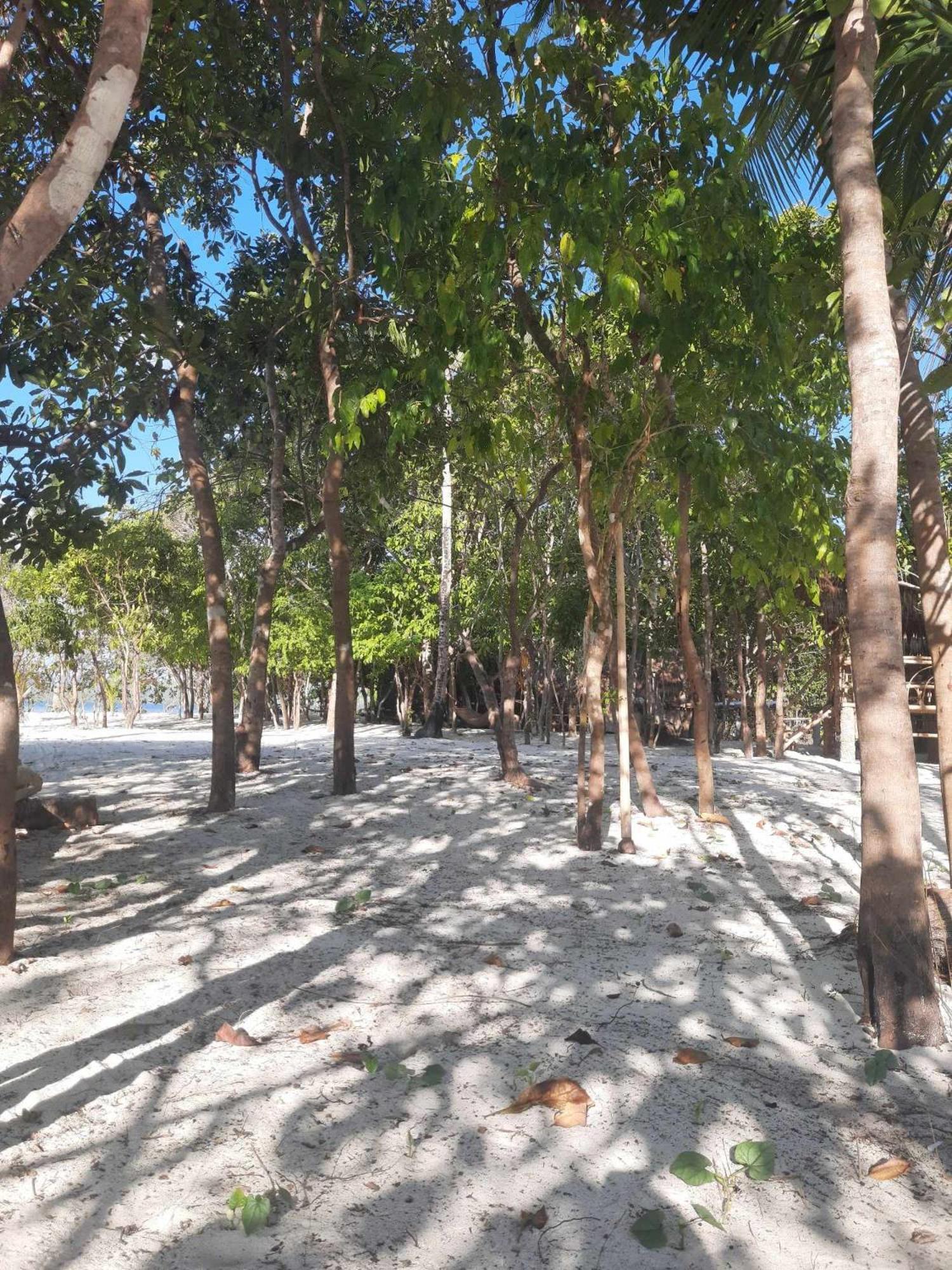 Dosplaya Ecocamp Hotel El Nido Ngoại thất bức ảnh