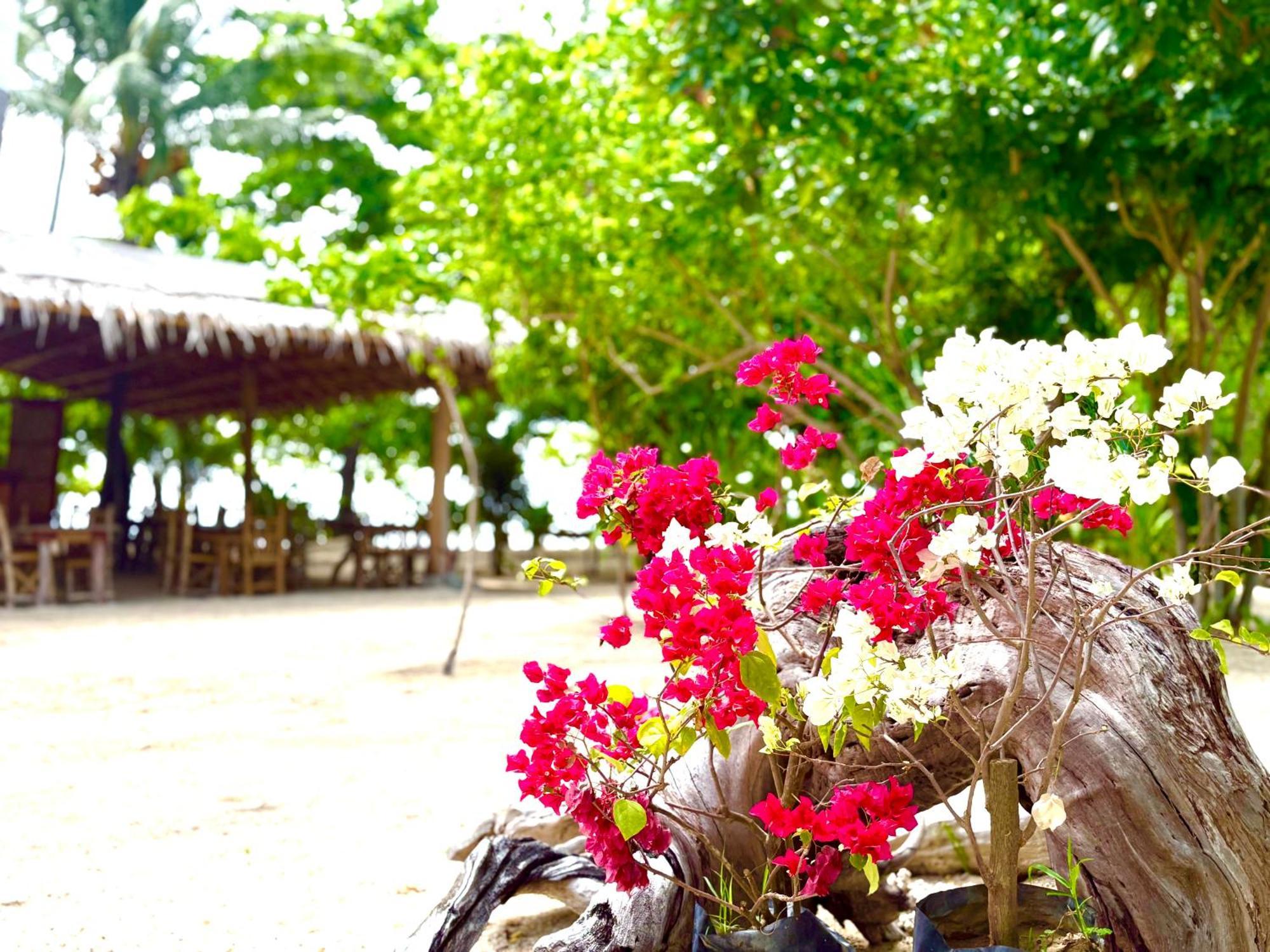 Dosplaya Ecocamp Hotel El Nido Ngoại thất bức ảnh